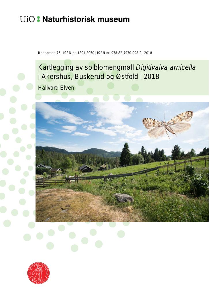 Forsiden av dokumentet Kartlegging av solblomengmøll Digitivalva arnicella i Akershus, Buskerud og Østfold i 2018