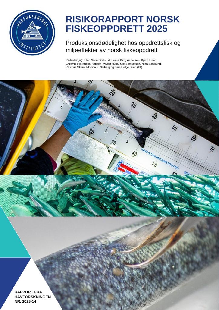 Forsiden av dokumentet RISIKORAPPORT NORSK FISKEOPPDRETT 2025 - Produksjonsdødelighet hos oppdrettsfisk og
miljøeffekter av norsk fiskeoppdrett