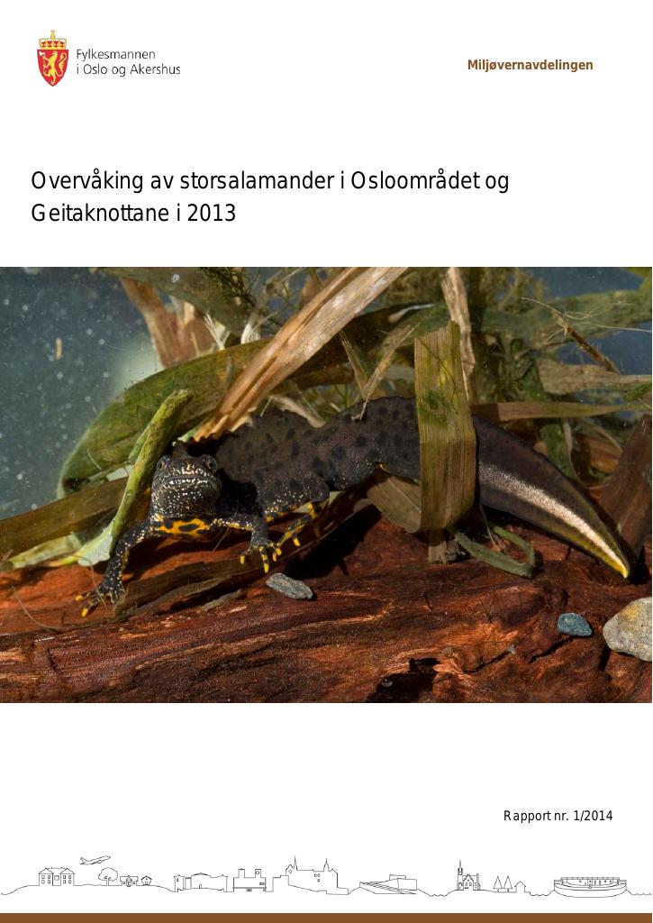 Forsiden av dokumentet Overvåking av storsalamander i Osloområdet og Geitaknottane i 2013