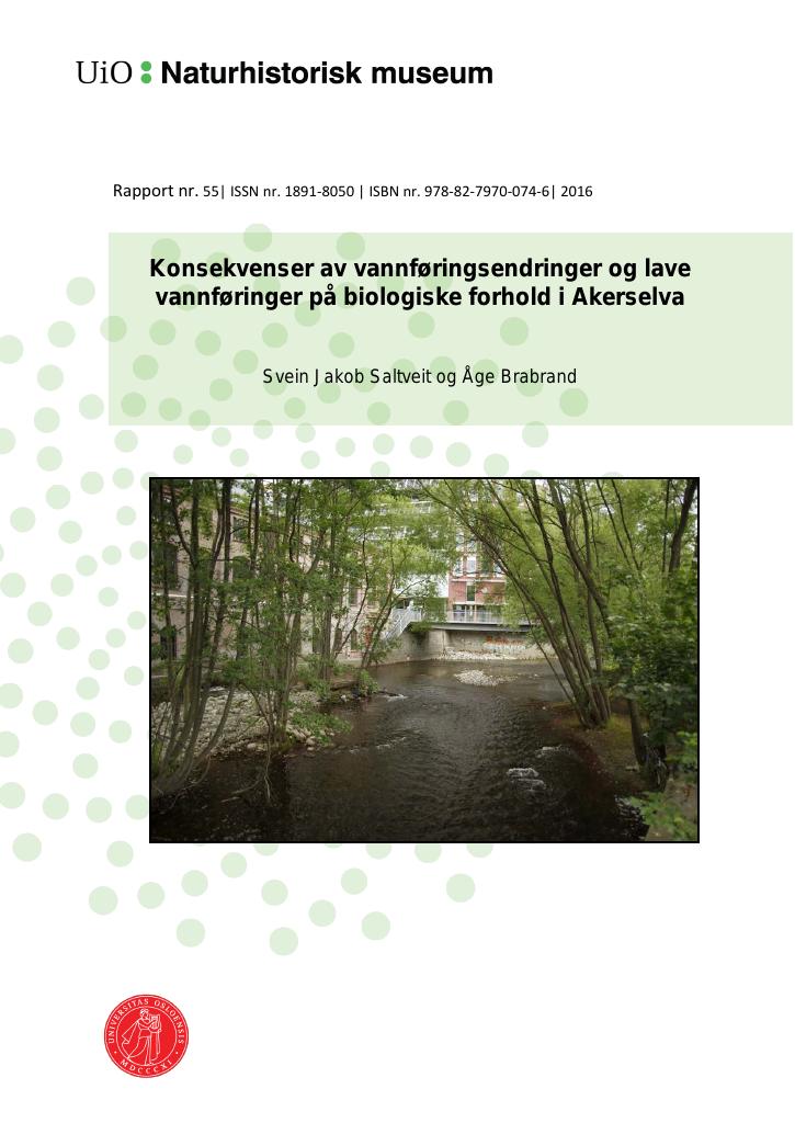 Forsiden av dokumentet Konsekvenser av vannføringsendringer og lave vannføringer på biologiske forhold i Akerselva