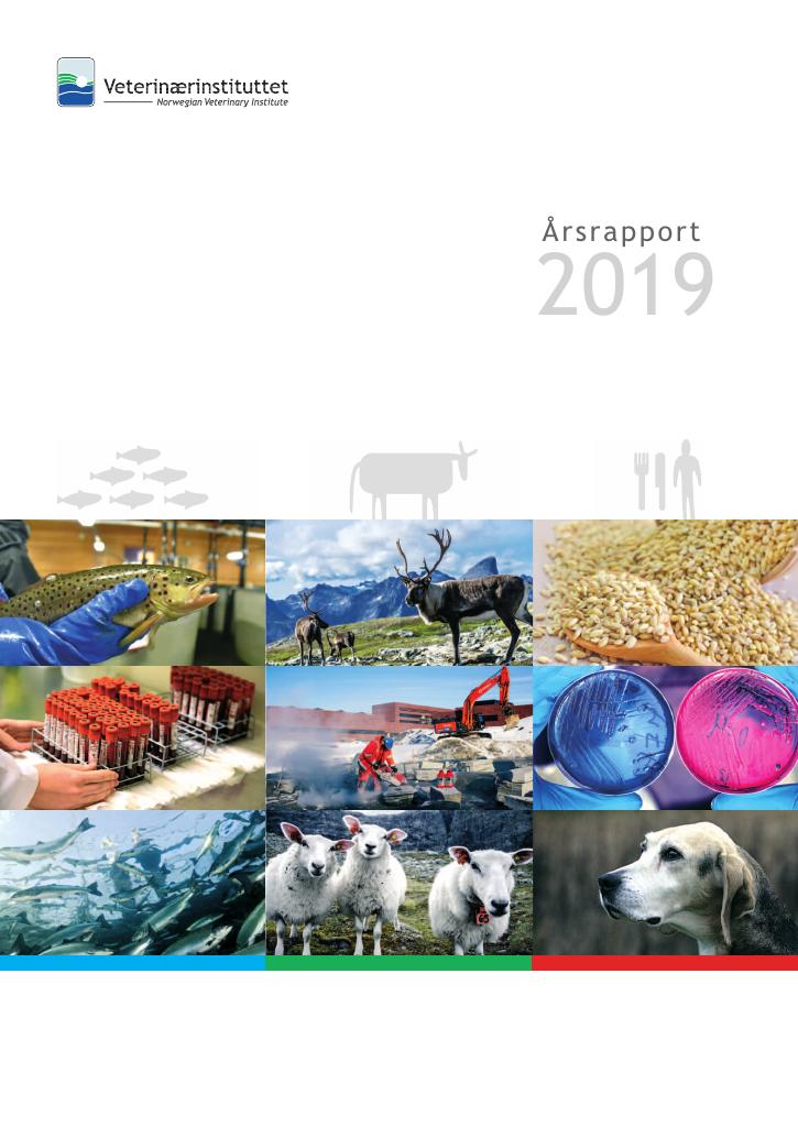 Forsiden av dokumentet Årsrapport Veterinærinstituttet 2019