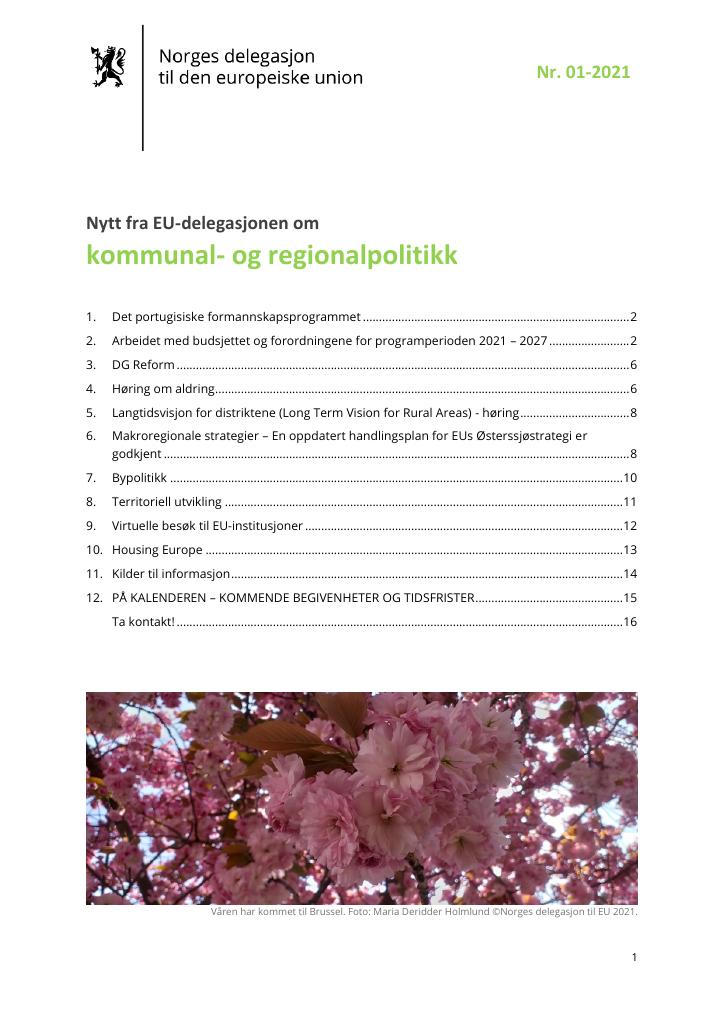 Forsiden av dokumentet Nytt fra EU-delegasjonen om kommunal- og regionalpolitikk (01/2021)