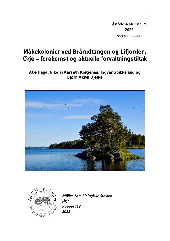 Forsiden av dokumentet Måkekolonier ved Brårudtangen og Lifjorden, Ørje – forekomst og aktuelle forvaltningstiltak