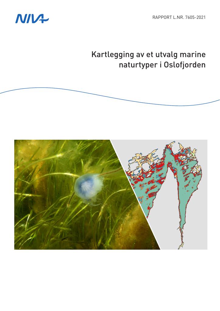 Forsiden av dokumentet Kartlegging av et utvalg marine naturtyper i Oslofjorden