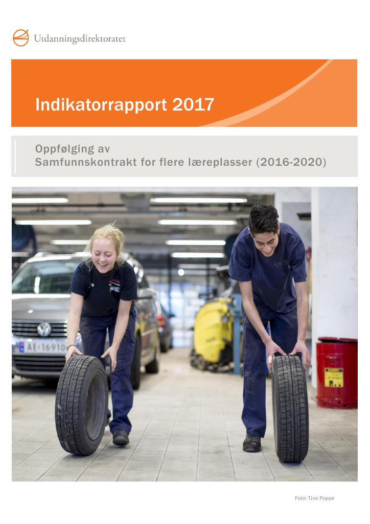 Forsiden av dokumentet Indikatorrapport 2017