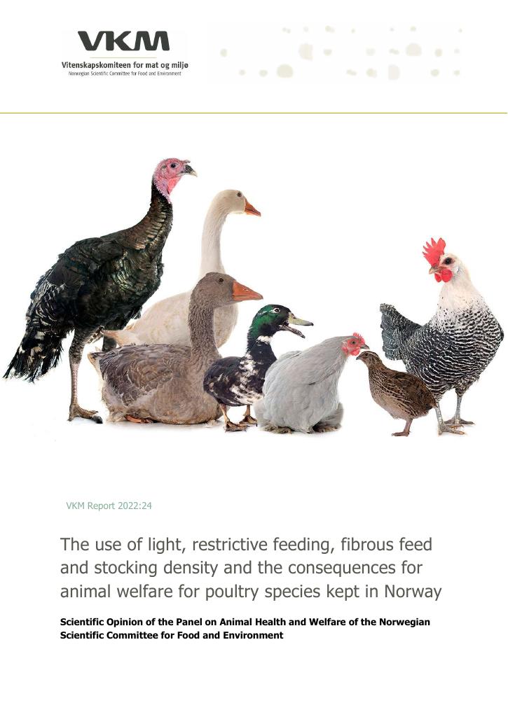 Forsiden av dokumentet The use of light, restrictive feeding, fibrous feed and stocking density and the consequences for animal welfare for poultry species kept in Norway : scientific opinion of the panel on animal health and welfare of the Norwegian scientific committee for food and environment