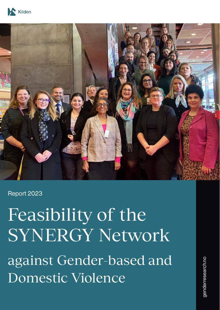 Forsiden av dokumentet Feasibility of the SYNERGY Network against Gender-based and Domestic Violence