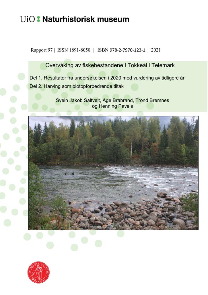 Forsiden av dokumentet Overvåking av fiskebestandene i Tokkeåi i Telemark : Del 1. Resultater fra undersøkelsen i 2020 med vurdering av tidligere år. Del 2. Harving som biotopforbedrende tiltak