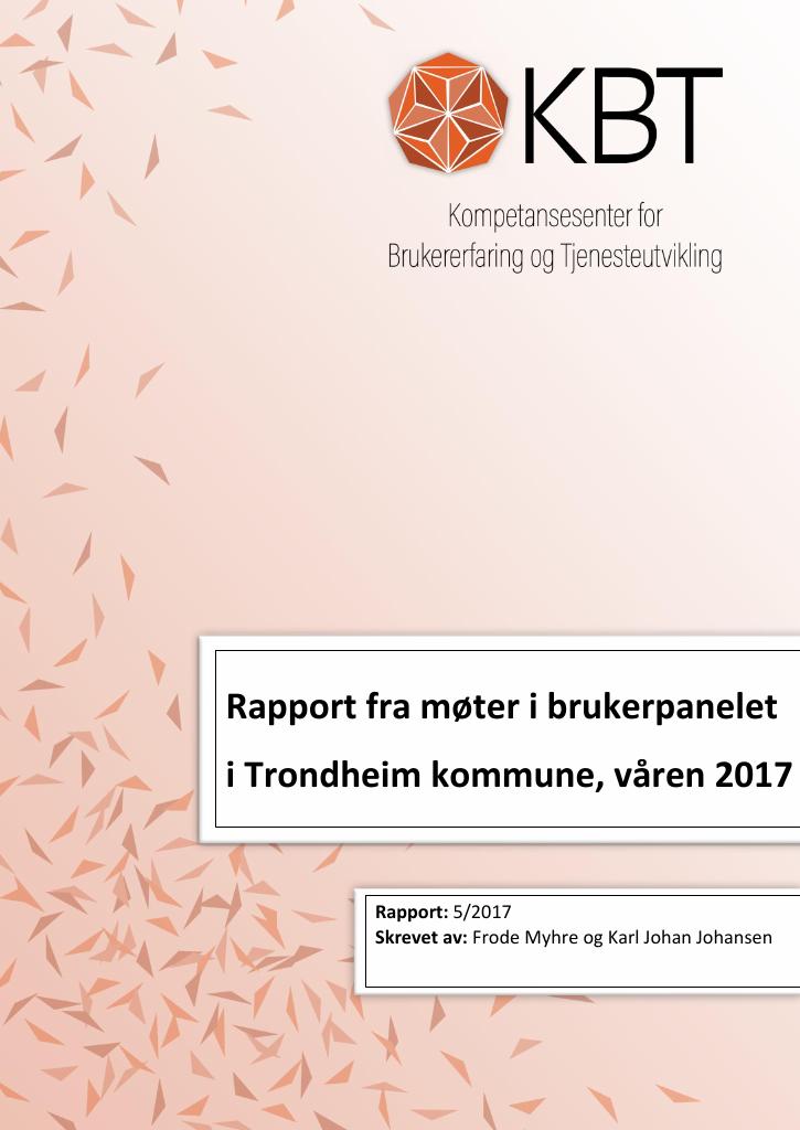 Forsiden av dokumentet Rapport fra møter i brukerpanel i Trondheim kommune, våren 2017