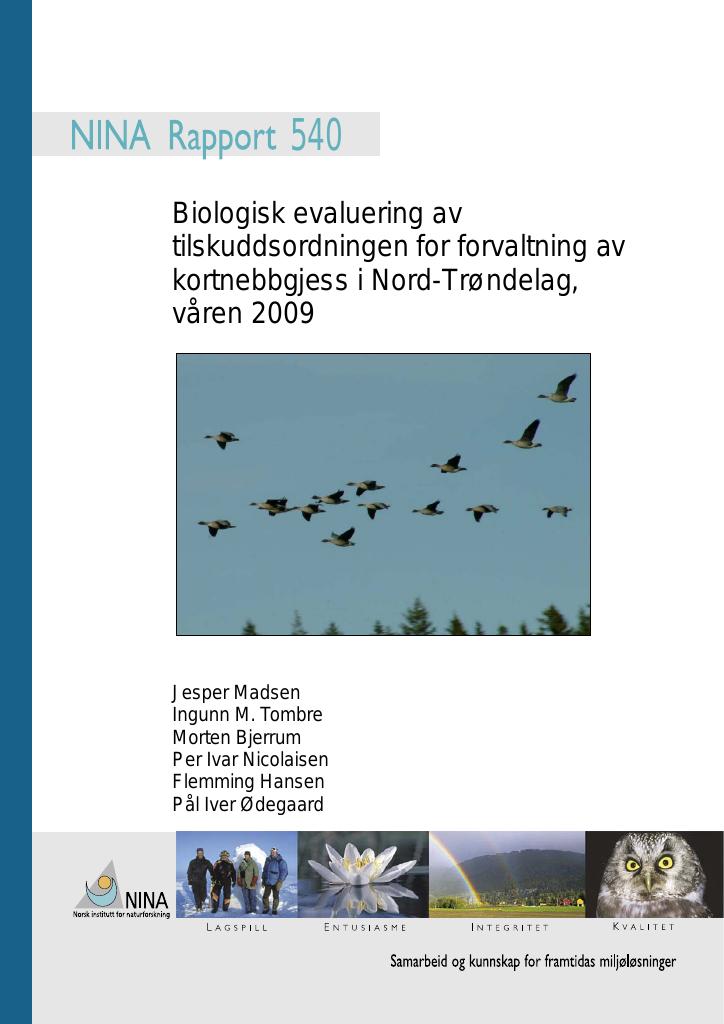 Forsiden av dokumentet Biologisk evaluering av tilskuddsordningen for forvaltning av kortnebbgjess i Nord-Trøndelag, våren 2009