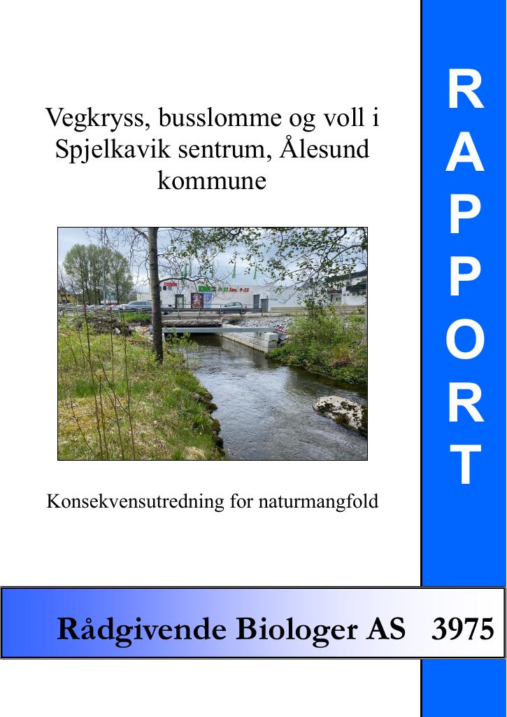 Forsiden av dokumentet Vegkryss, busslomme og voll i Spjelkavik sentrum, Ålesund kommune. Konsekvensutredning for naturmangfold