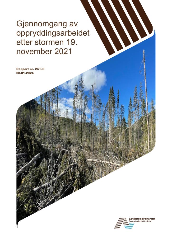 Forsiden av dokumentet Gjennomgang av oppryddingsarbeidet etter stormen 19.november 2021