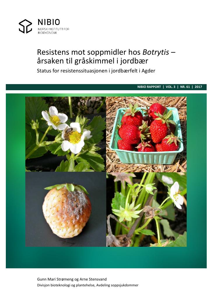 Forsiden av dokumentet Resistens mot soppmidler hos Botrytis – årsaken til gråskimmel i jordbær