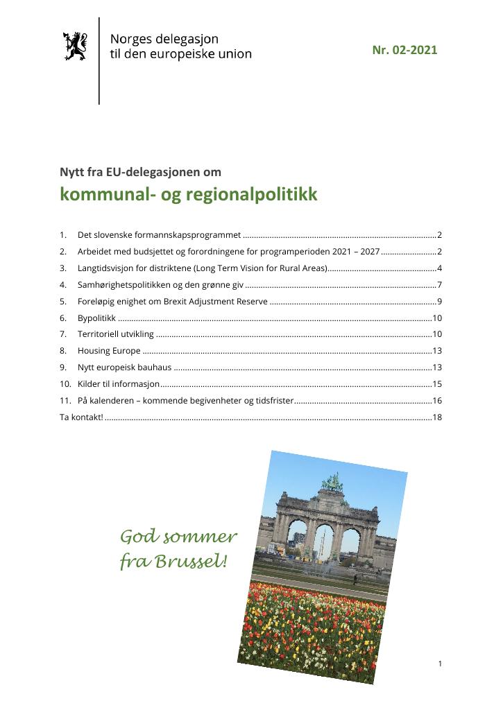 Forsiden av dokumentet Nytt fra EU-delegasjonen om kommunal- og regionalpolitikk (02/2021)