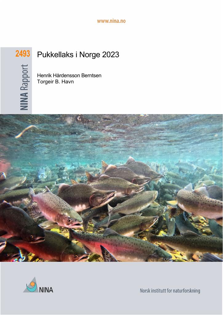 Forsiden av dokumentet Pukkellaks i Norge 2023