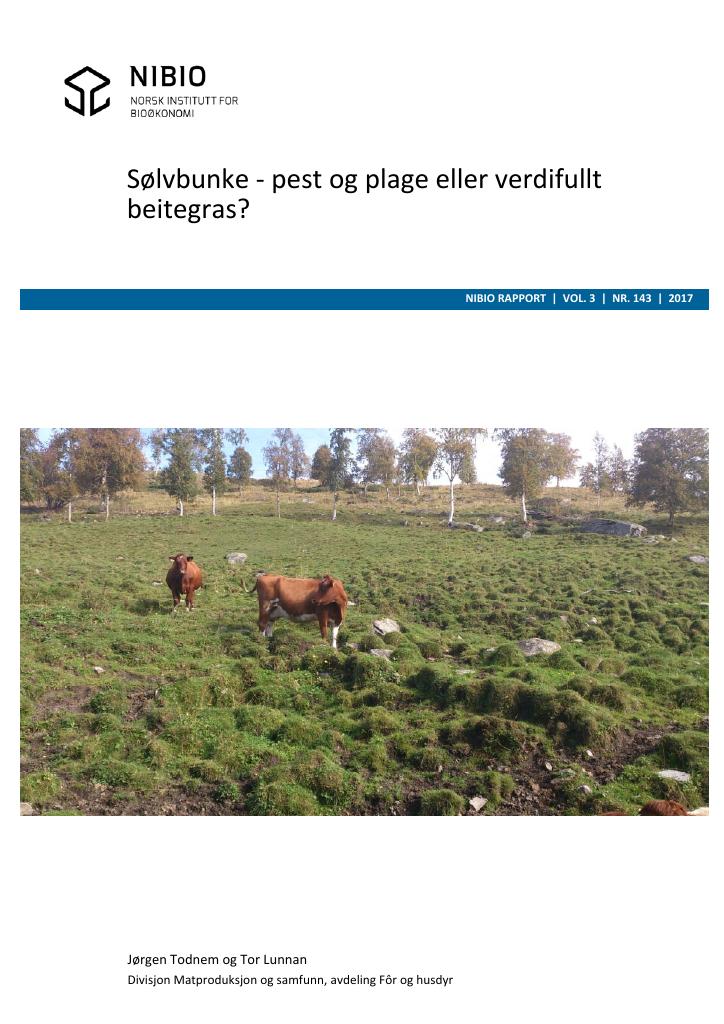 Forsiden av dokumentet Sølvbunke – pest og plage eller verdifullt beitegras?