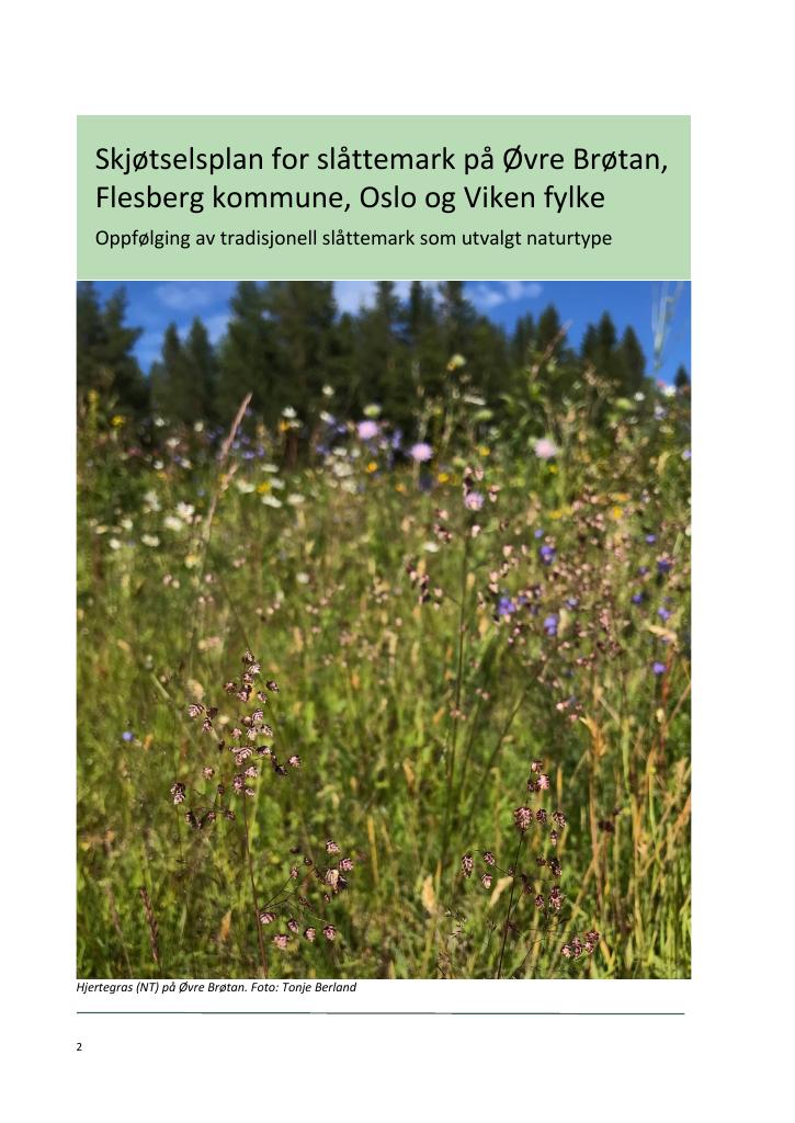 Forsiden av dokumentet Skjøtselsplan for slåttemark på Øvre Brøtan, Flesberg kommune, Oslo og Viken fylke : oppfølging av tradisjonell slåttemark som utvalgt naturtype