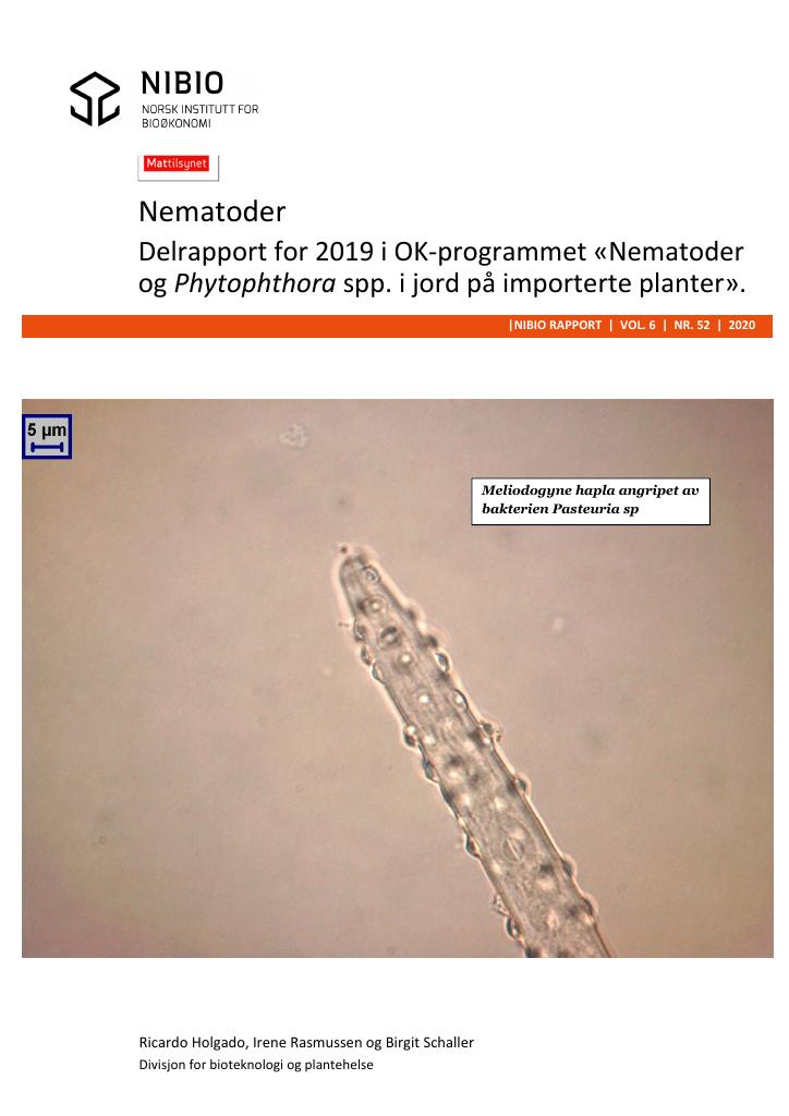 Forsiden av dokumentet Nematoder : delrapport for 2019 i OK-programmet «Nematoder og Phytophthora spp. i jord på importerte planter»