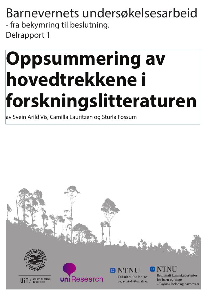 Forsiden av dokumentet Barnevernets undersøkelsesarbeid - fra bekymring til beslutning. Delrapport 1. Oppsummering av hovedtrekkene i forskningslitteraturen.