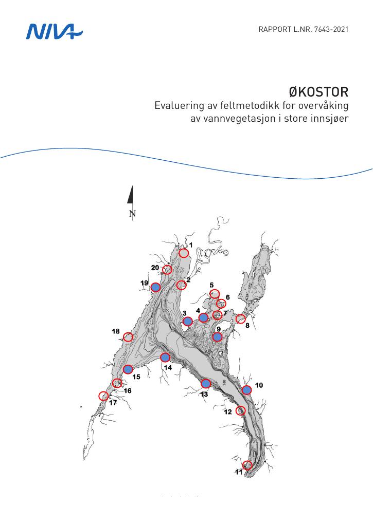 Forsiden av dokumentet ØKOSTOR : Evaluering av feltmetodikk for overvåking av vannvegetasjon i  store innsjøer.