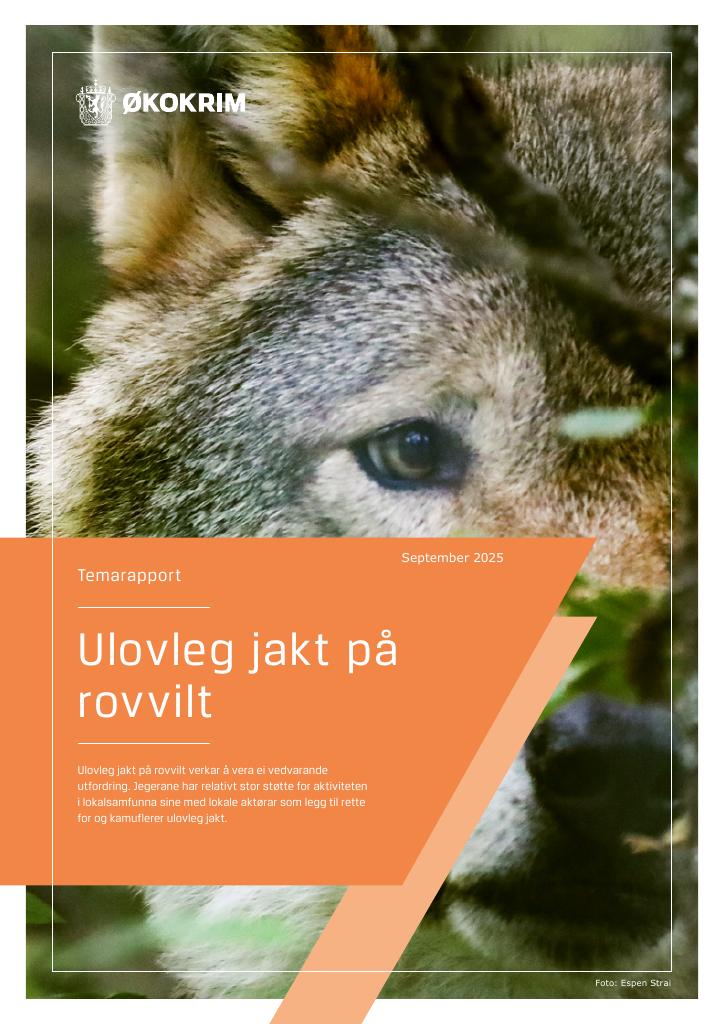 Forsiden av dokumentet Temarapport - Ulovleg jakt på rovvilt
