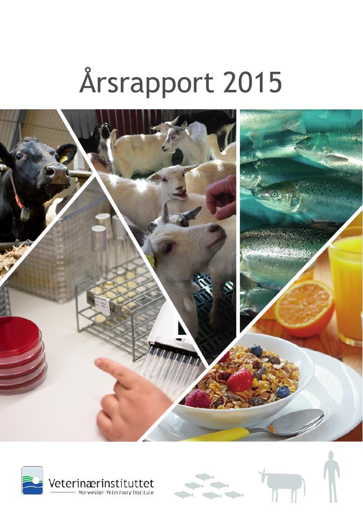 Forsiden av dokumentet Årsrapport (PDF)