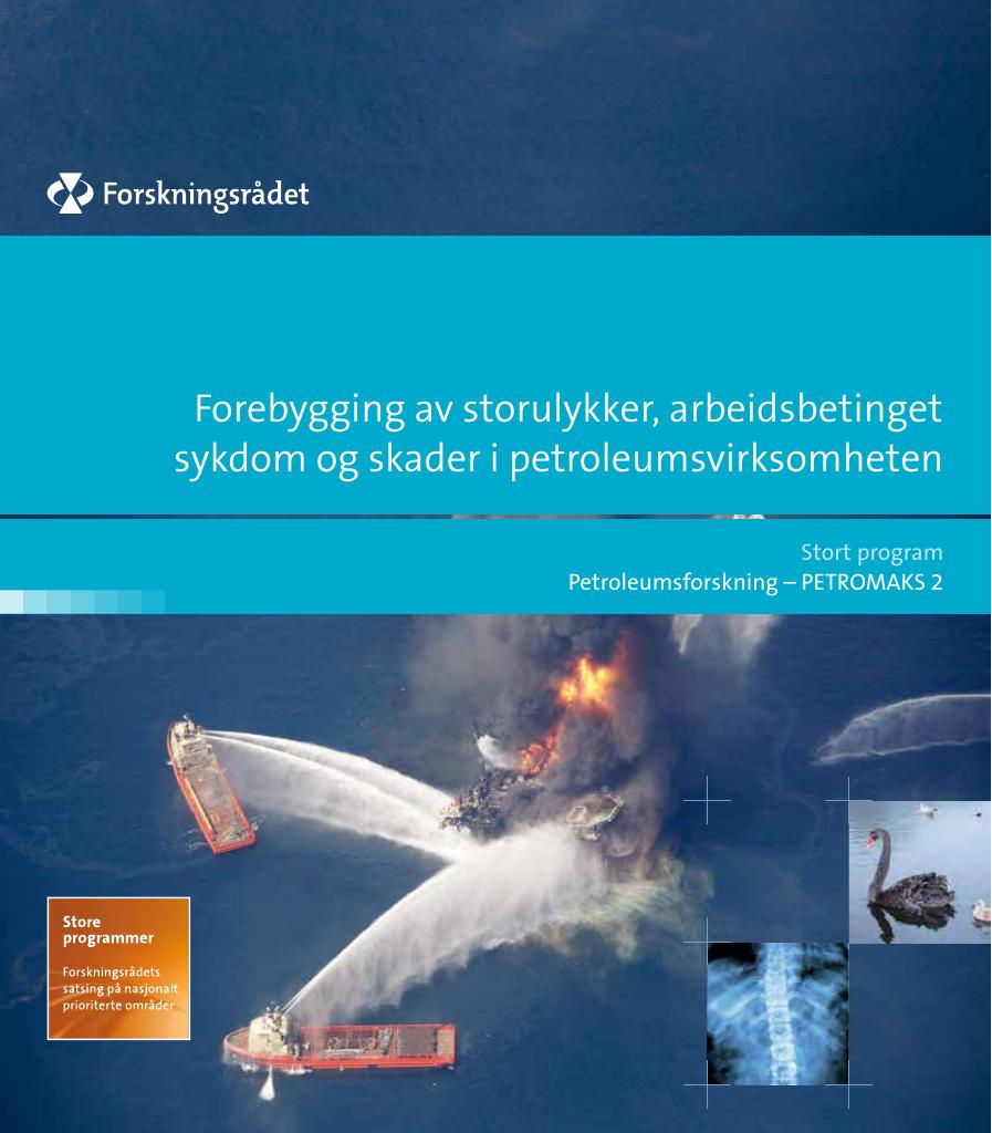 Forebygging Av Stor Ulykker. Arbeidsbetinget Sykdom Og Skader I ...