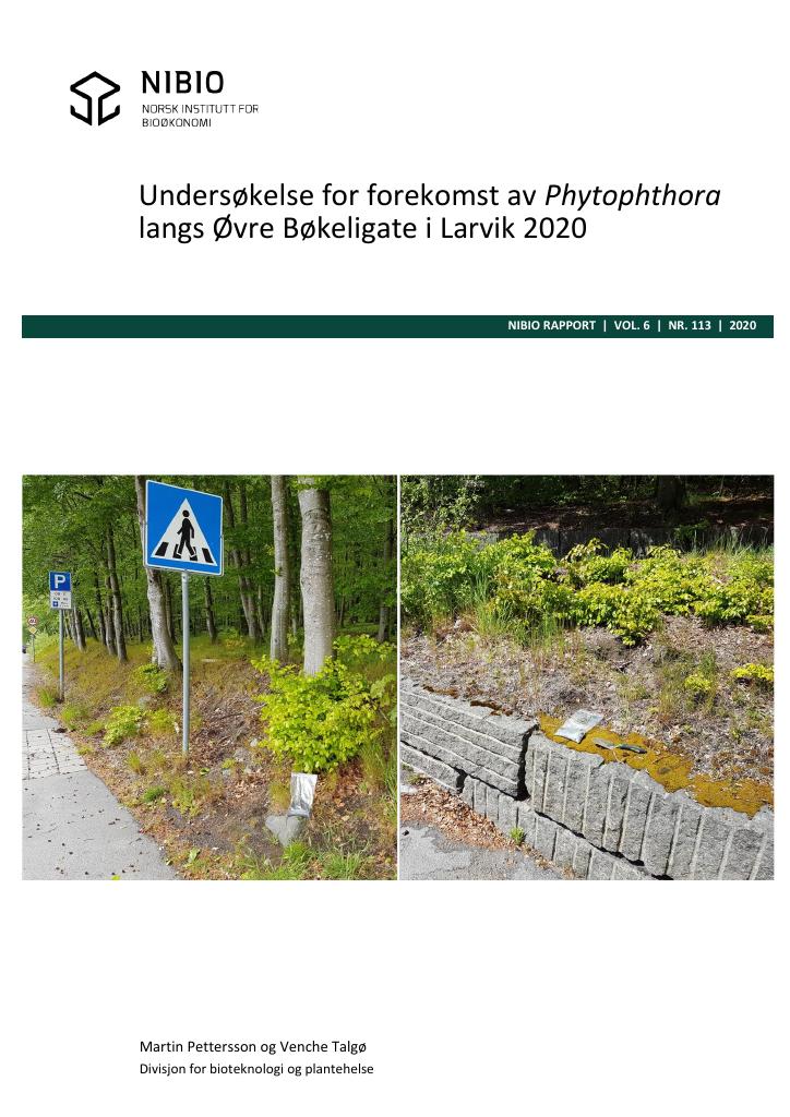 Forsiden av dokumentet Undersøkelse for forekomst av Phytophthora langs Øvre Bøkeligate i Larvik 2020