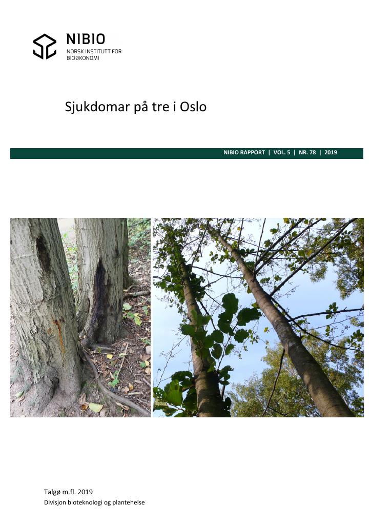 Forsiden av dokumentet Sjukdomar på tre i Oslo