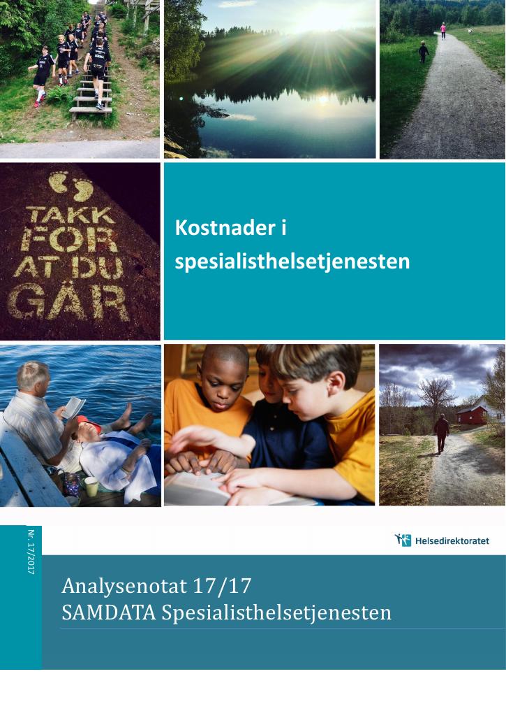 Forsiden av dokumentet Kostnader i spesialisthelsetjenesten 2017