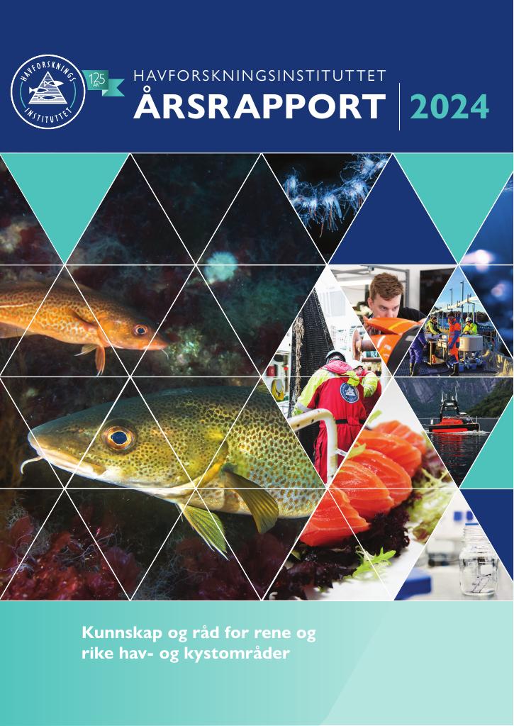 Forsiden av dokumentet Årsrapport Havforskningsinstituttet 2024