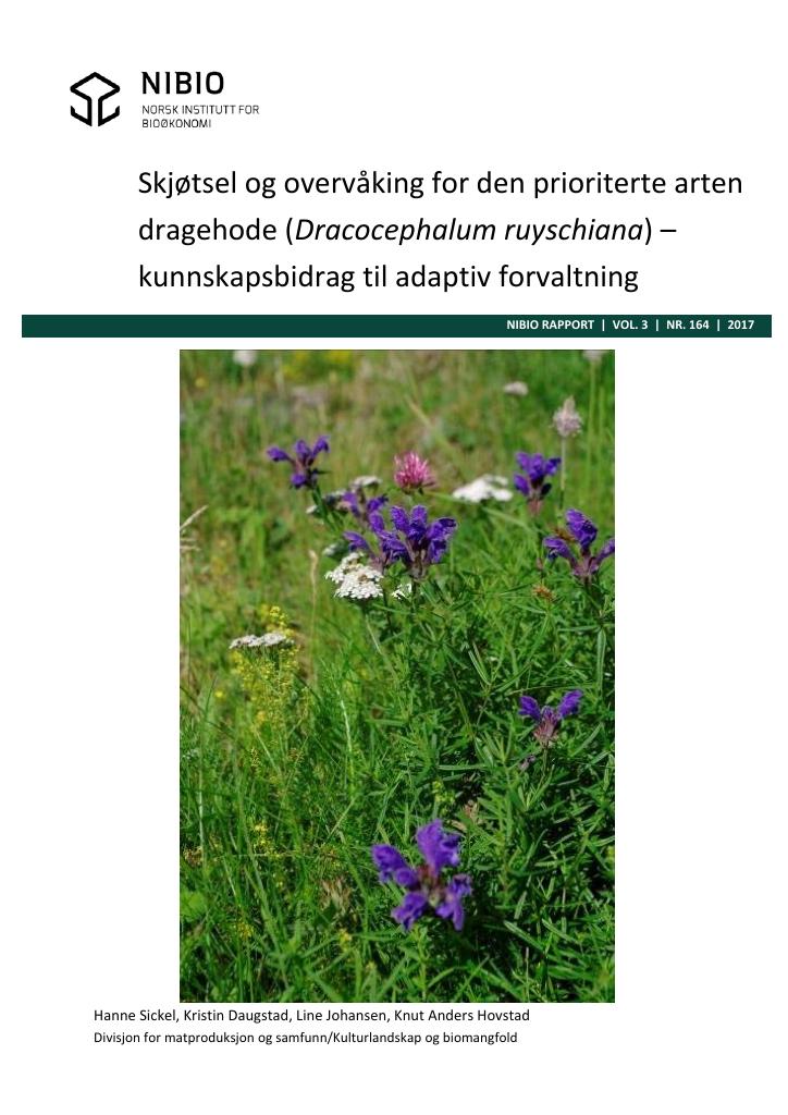 Forsiden av dokumentet Skjøtsel og overvåking for den prioriterte arten dragehode (Dracocephalum ruyschiana) – kunnskapsbidrag til adaptiv forvaltning