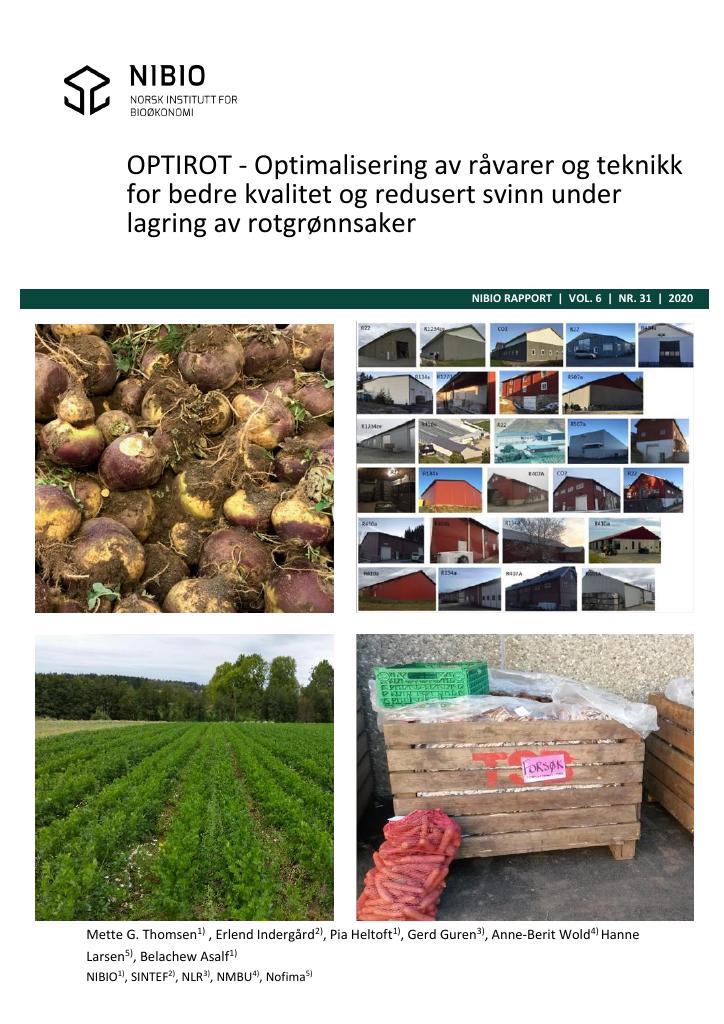 Forsiden av dokumentet OPTIROT - Optimalisering av råvarer og teknikk for bedre kvalitet og redusert svinn under lagring av rotgrønnsaker. OPTIROOT - Optimization of produce quality and storage conditions to reduce loss during long-term storage of root vegetables in Norway