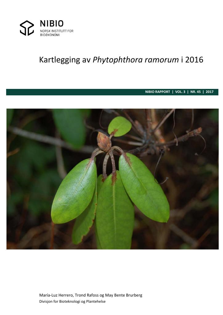 Forsiden av dokumentet Kartlegging av Phytophthora ramorum i 2016