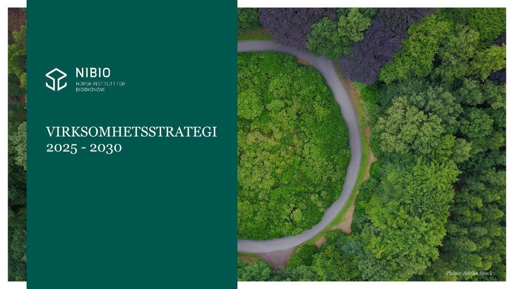 Forsiden av dokumentet Nibio virksomhetsstrategi 2025 - 2030