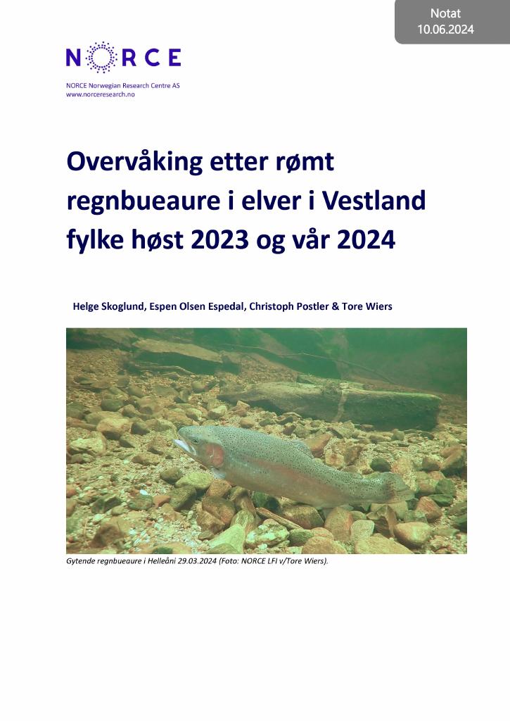 Forsiden av dokumentet Overvåking etter rømt regnbueaure i elver i Vestland fylke høst 2023 og vår 2024