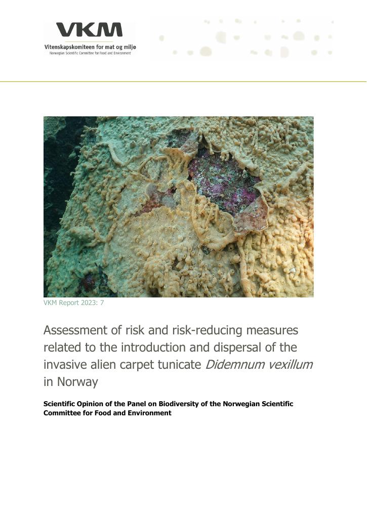 Forsiden av dokumentet Assessment of risk and risk-reducing measures related to the introduction and dispersal of the invasive alien carpet tunicate Didemnum vexillum in Norway
