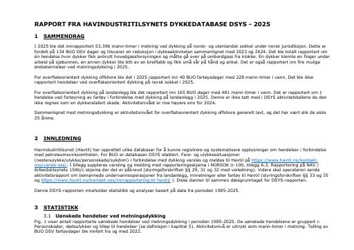 Forsiden av dokumentet Rapport fra Havindustritilsynets dykkedatabase DSYS - 2025