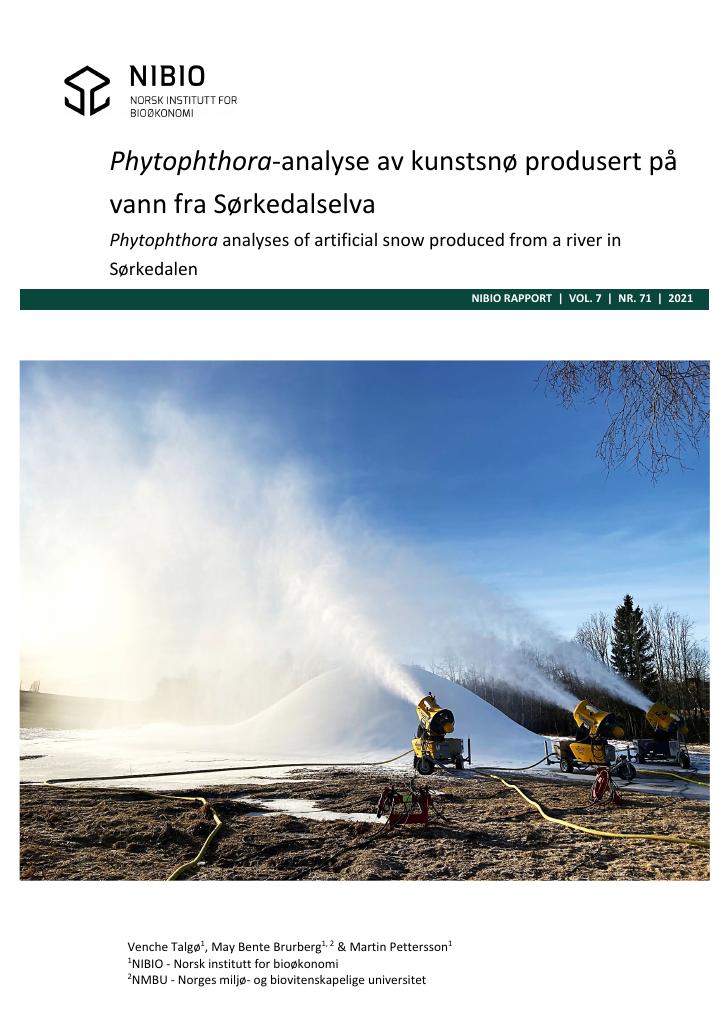 Forsiden av dokumentet Phytophthora-analyse av kunstsnø produsert på vann fra Sørkedalselva : phytophthora analyses of artificial snow produced from a river in Sørkedalen