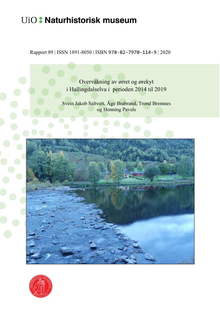 Forsiden av dokumentet Overvåkning av ørret og ørekyt i Hallingdalselva fra 2014 til 2019
