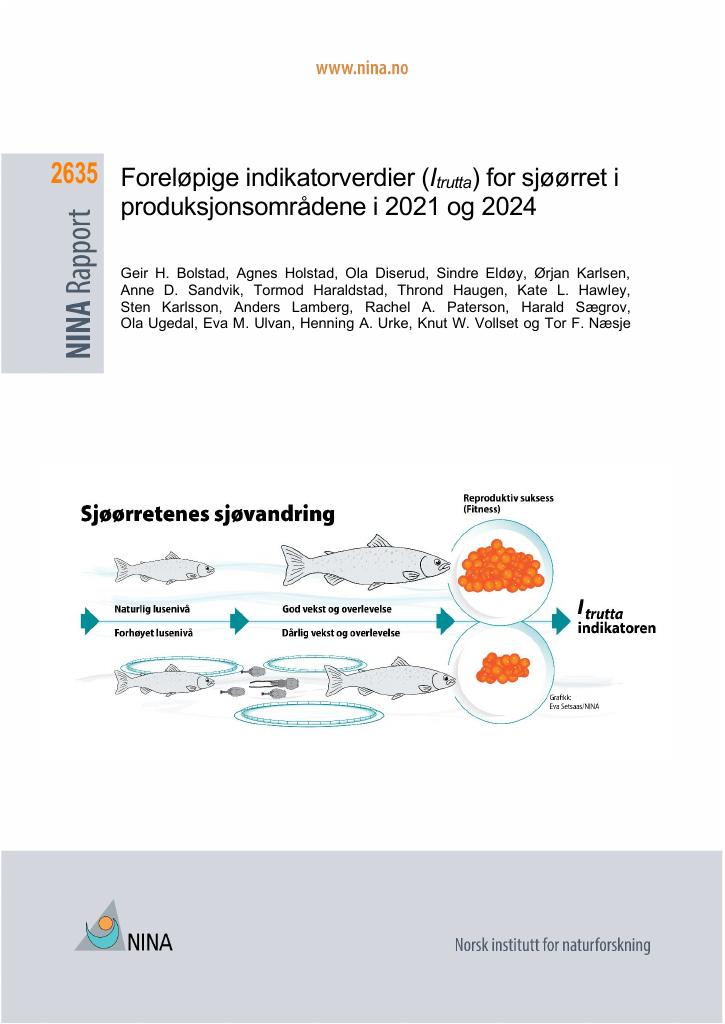 Forsiden av dokumentet Foreløpige indikatorverdier (Itrutta) for sjøørret i produksjonsområdene i 2021 og 2024