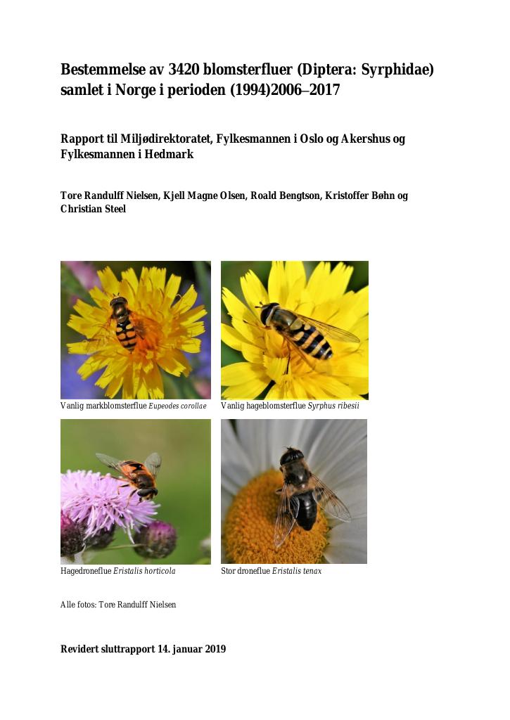 Forsiden av dokumentet Bestemmelse av 3420 blomsterfluer (Diptera: Syrphidae) samlet i Norge i perioden (1994)2006–2017