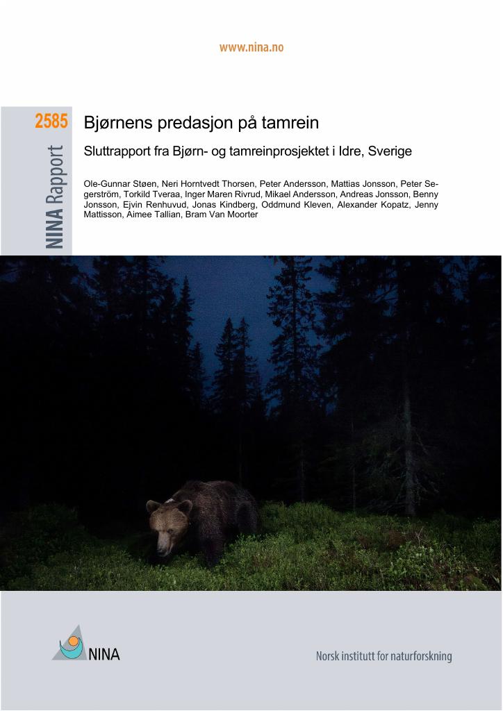 Forsiden av dokumentet Bjørnens predasjon på tamrein