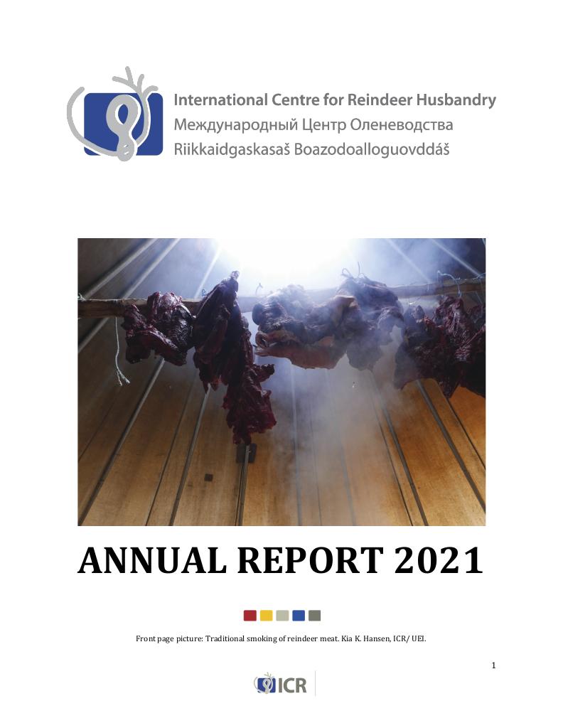 Forsiden av dokumentet Årsrapport.pdf 2021
