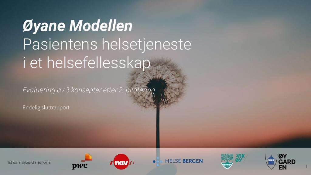 Forsiden av dokumentet Stimulab: Øyane Modellen - Pasientens helsetjeneste i et helsefellesskap