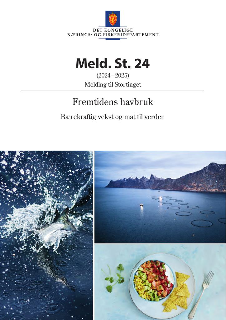 Forsiden av dokumentet Meld. St. 24 (2024–2025)