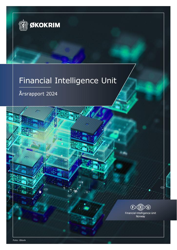 Forsiden av dokumentet Financial Intelligence Unit - Årsrapport 2024