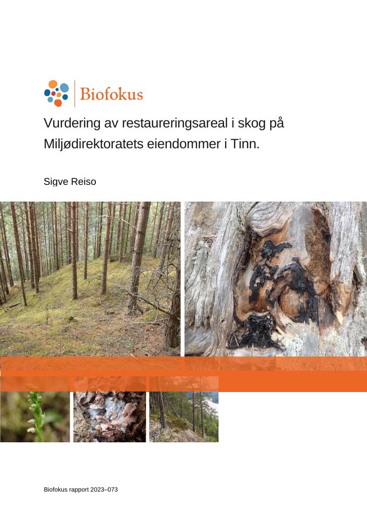 Forsiden av dokumentet Vurdering av restaureringsareal i skog på Miljødirektoratets eiendommer i Tinn