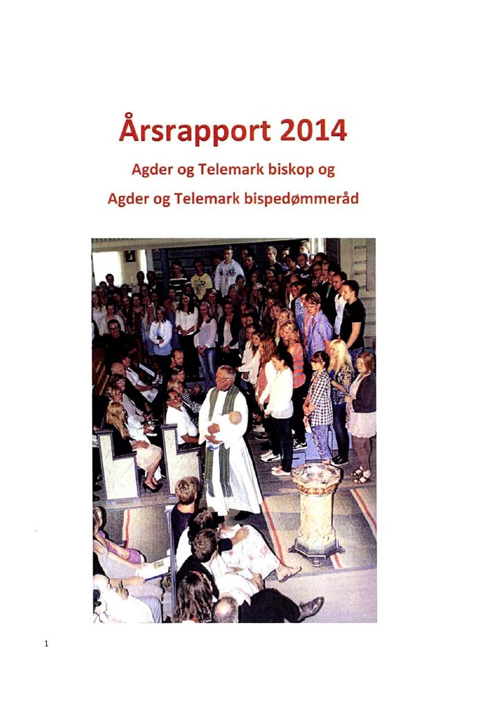 Forsiden av dokumentet Årsrapport Agder og Telemark biskop og bispedømmeråd 2014