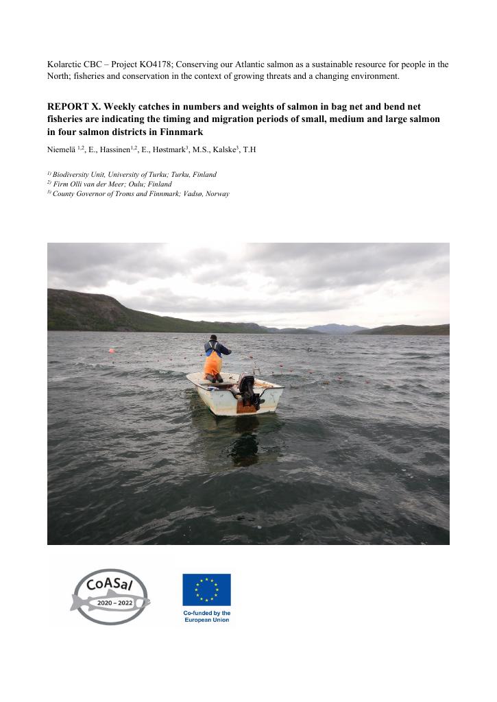 Forsiden av dokumentet REPORT X. Weekly catches in numbers and weights of salmon in bag net and bend net fisheries are indicating the timing and migration periods of small, medium and large salmon in four salmon districts in Finnmark